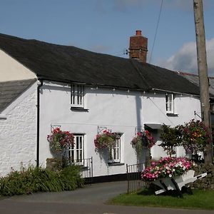 Tregenver Bed And Breakfast Bude Exterior photo