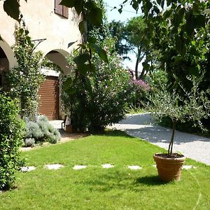 Bed and Breakfast Antica Casa Sandri à Mogliano Veneto Exterior photo