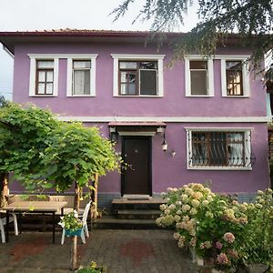 Villa Banizo Great Black Sea View Village House Trabzon Exterior photo