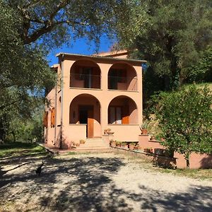 Villa Argentella House à Palombara Sabina Exterior photo