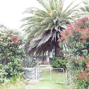 Villa Twin Palms à Waikanae Exterior photo