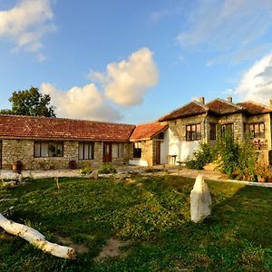 Villa Domnika à Bŭlgarevo Exterior photo