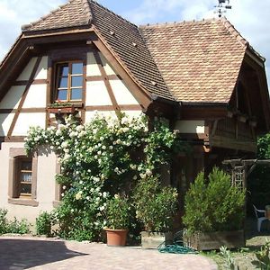 Gîte Les Cerisiers Triembach-au-Val Exterior photo