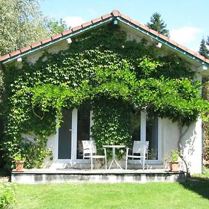 Appartement Le Nid Douillet à Ore  Exterior photo