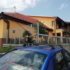Appartement Casa Darius à Orşova Exterior photo