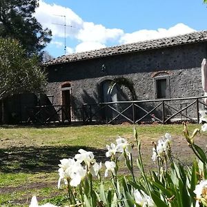 Villa Poggio Roseto à Randazzo Exterior photo