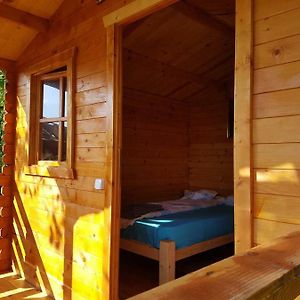 Villa Retezat Retreat - Wood Cabin à Clopotiva Exterior photo