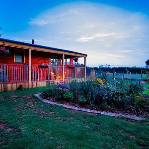 Villa Cherry Tree Glamping à Stroud  Exterior photo