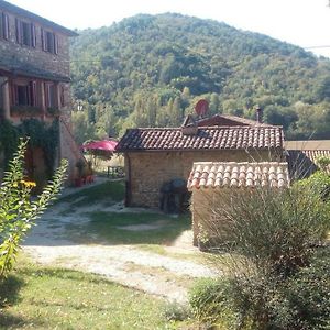 Bed and Breakfast Tana Del Tasso à San Secondo Exterior photo