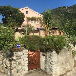 Villa U Parasu à Santa-Maria-Figaniella Exterior photo