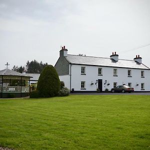 Bed and Breakfast Cartron House à Ballinakill  Exterior photo