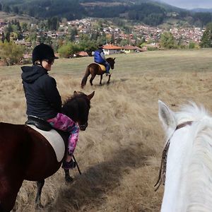 Dona Guest House - Horse Riding Koprivchtitsa Exterior photo