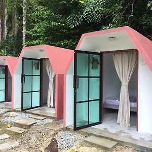 Eco Capsule Resort At Teluk Bahang, Penang Batu Ferringhi Exterior photo