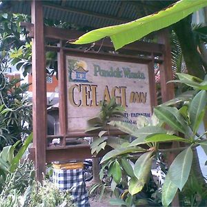 Celagi Inn Padangbai  Exterior photo
