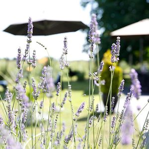 Hotel Nature&Chateaux à Villandry Exterior photo