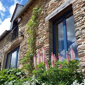 Villa Le Grenier, La Vieille Ferme à Ruffiac  Exterior photo