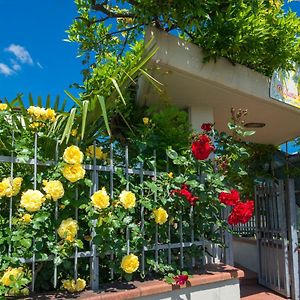 Bed and Breakfast Bed & Breakfast Profumo D'Estate à Agliana Exterior photo