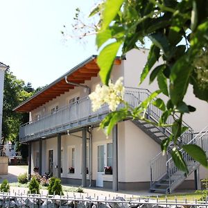 Hotel Pension Am Ziegelwall à Bautzen Exterior photo