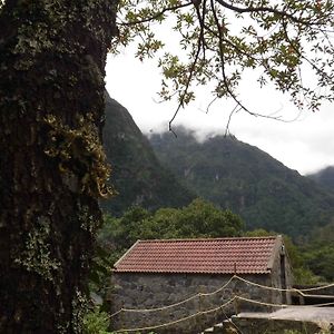 Nature Inn Madeira - Glamping Porto Moniz Exterior photo