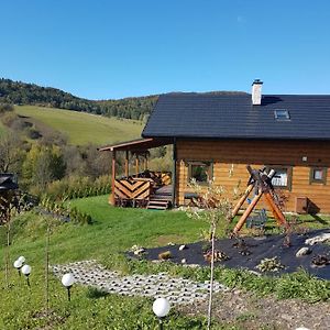 Villa Kiczurka Bieszczady à Baligród Exterior photo