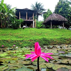 Maison d'hôtes Bluff Hidden Paradise à Bocas del Toro Exterior photo