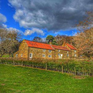 Bed and Breakfast Park House à Ingleby Arncliffe Exterior photo