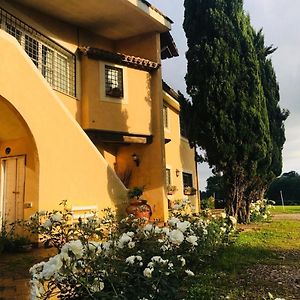 Bed and Breakfast Borgo Del Gelso à Olgiata Exterior photo