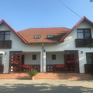 Bed and Breakfast Ferto-Parti Panzio à Hegykő Exterior photo