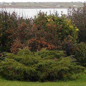 Bed and Breakfast Drom Caoin à Belmullet Exterior photo