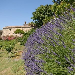 Bed and Breakfast Domaine de Cousignac à Bourg-Saint-Andéol Exterior photo