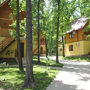 Hotel Вілія à Lomacineţi Exterior photo