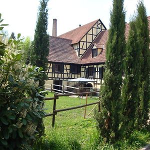 Villa Maison de vacances Alsace - Ferienhaus Elsaß - Holiday house Alsace à Bischwiller Exterior photo