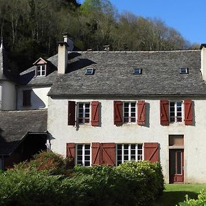 Hotel Gite Chaneue à Osse-en-Aspe Exterior photo