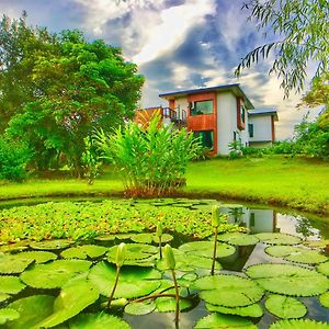 雲起軒民宿 Cloudscape B&B Ji'an Exterior photo