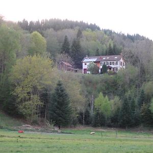 Gîte et chambres d'hôtes le Chêne Ban-sur-Meurthe-Clefcy Exterior photo