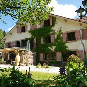 Hotel La Belle Charbonnière à La Grande Fosse Exterior photo