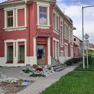 Hotel Pension U Palenice à Hrabětice Exterior photo