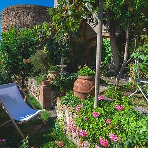 Bed and Breakfast La Casa Nel Borgo à Bibbona Exterior photo