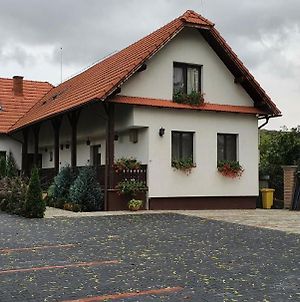Hôtel Casa Cu Pridvor à Băile Felix Exterior photo