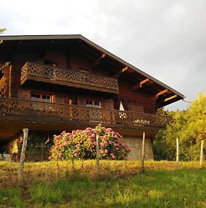 Villa Chalet paisible dans la nature avec belle vue sur le lac Léman à Lugrin Exterior photo