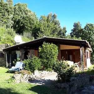 Villa DISCRET, APAISANT, CALME entre MER et MONTAGNE à Isolaccio-di-Fiumorbo Exterior photo