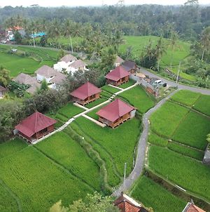 Ubud Sawah Villa, Cinery And Homestay Tegallalang (Bali) Exterior photo