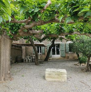 Séjour au calme au milieu des vignes Loupian Exterior photo