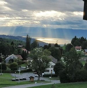 Balcony Of Lake Geneva Thollon-les-Mémises Exterior photo
