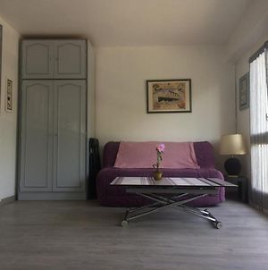 Appartement Appart Dinard Les Mimosas Centre Plage Exterior photo