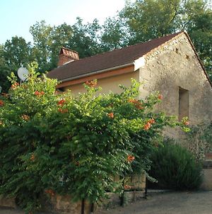 Villa Le Moulin du Bouscot à Saint-Cybranet Exterior photo