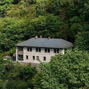 Villa Haus Am Berg à Bad Bertrich Exterior photo