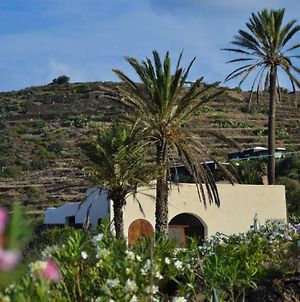 Villa Radyshams Dammusi Le Palme&Bait à Pantelleria Island Exterior photo