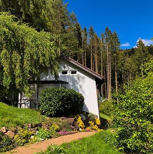Villa Surrbach Chalet à Baiersbronn Exterior photo
