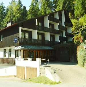 Villa Ferienhaus Pflug à Triberg im Schwarzwald Exterior photo
